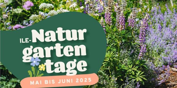 Titel_Naturgartentage_2025.jpg  
